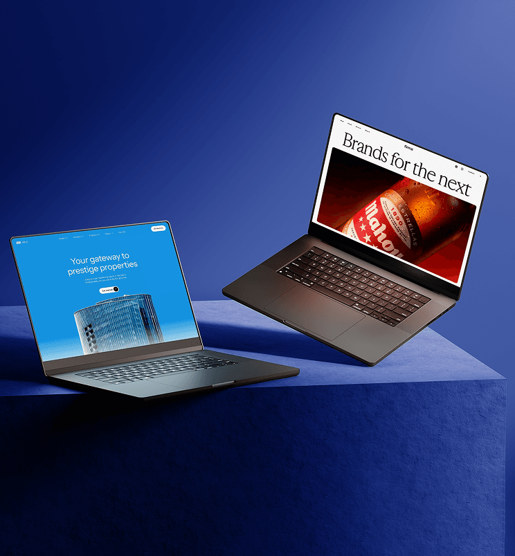  Website Development